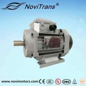 5.5kw Flexible Synchronous Motor (YFM-132)