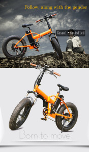 Ce-Approved 36V 250W Fat Tire Electric Folding Bikes