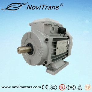 4kw AC Flexible Motor (YFM-112C)